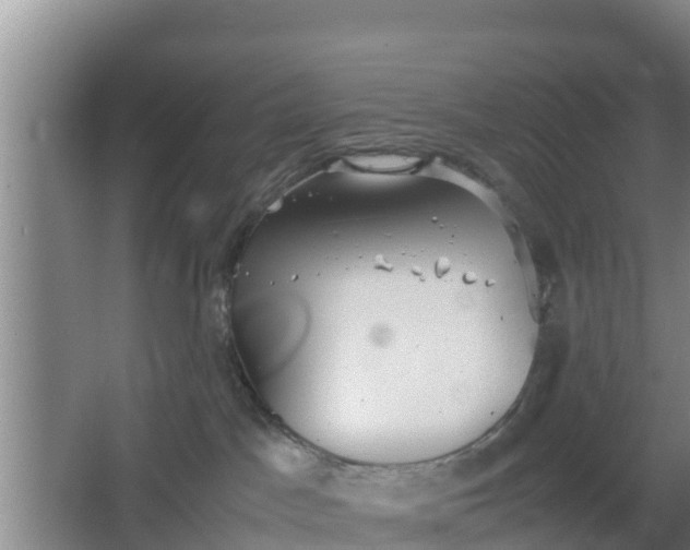 X0000064040045200602031609