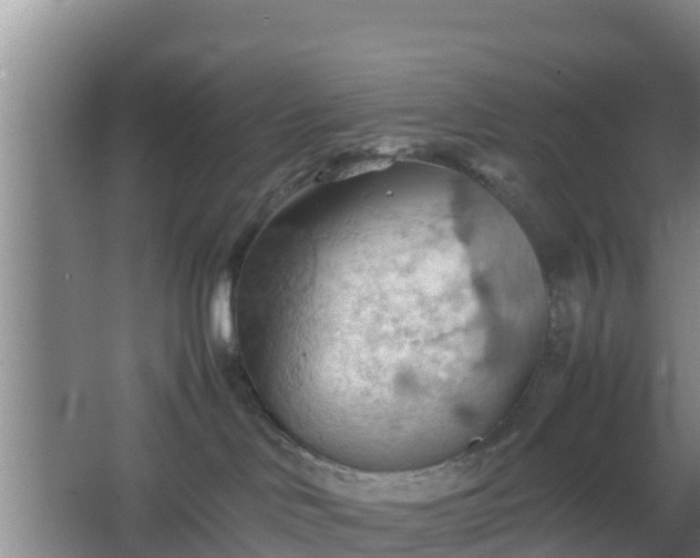 X0000064040046200602031609