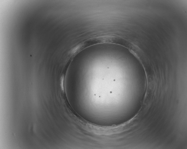 X0000064040047200602031609