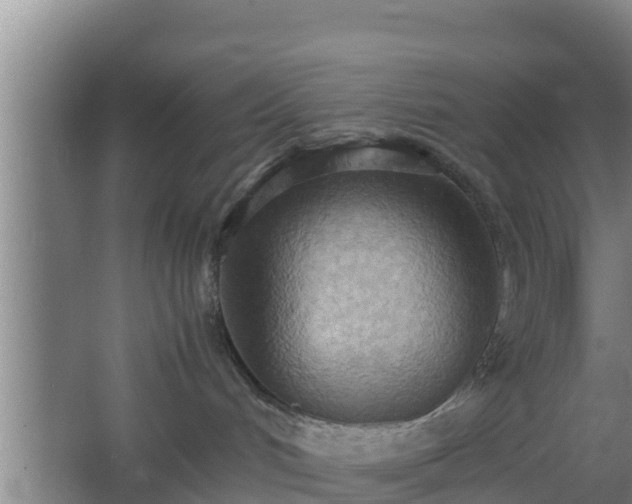 X0000064040048200602031609