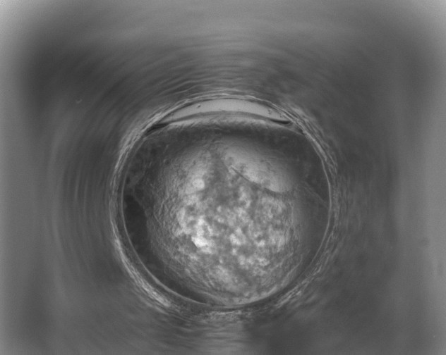 X0000064040049200602031608