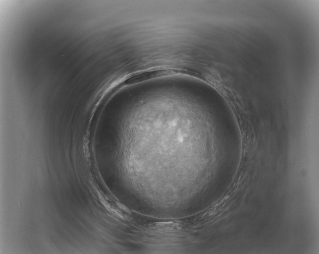 X0000064040050200602031608