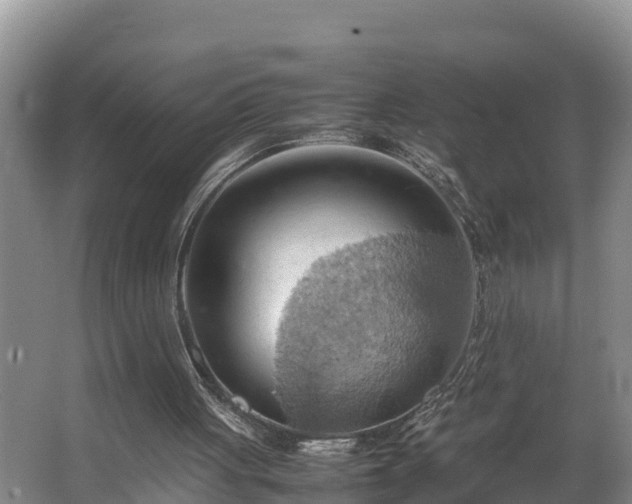 X0000064040051200602031608