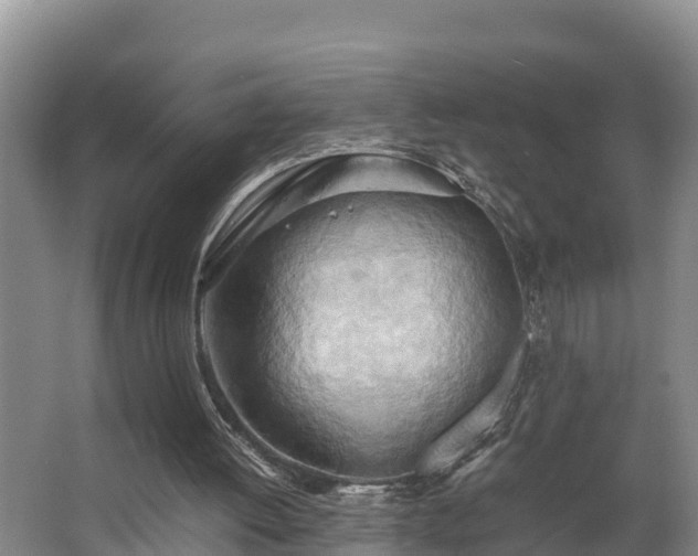 X0000064040052200602031608