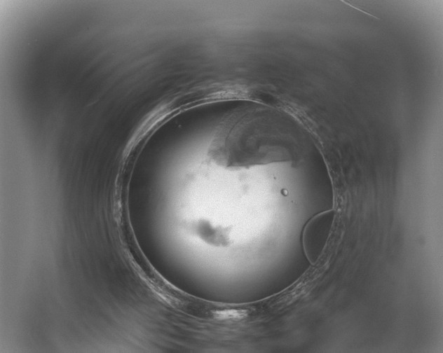 X0000064040053200602031608