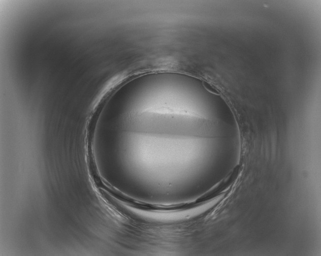 X0000064040054200602031608