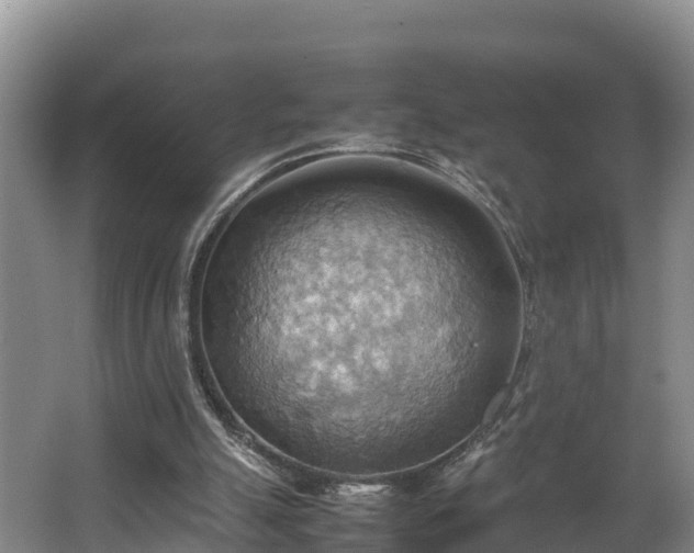 X0000064040055200602031608