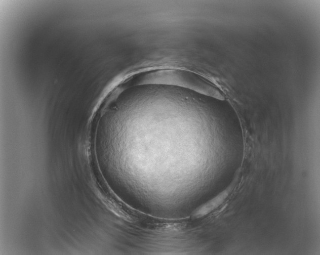 X0000064040056200602031608