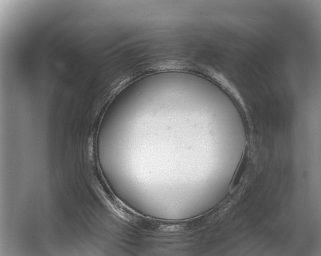 X0000064040057200602031608