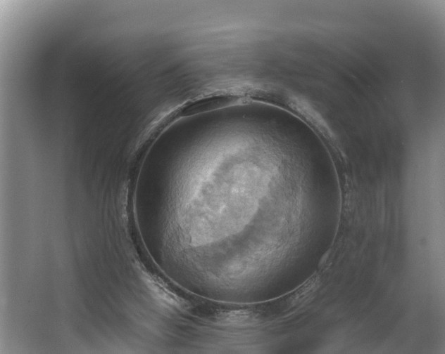 X0000064040058200602031608