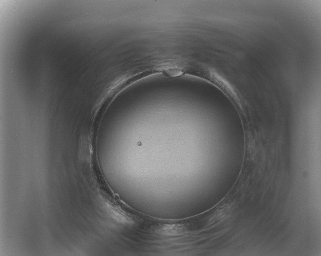 X0000064040059200602031608