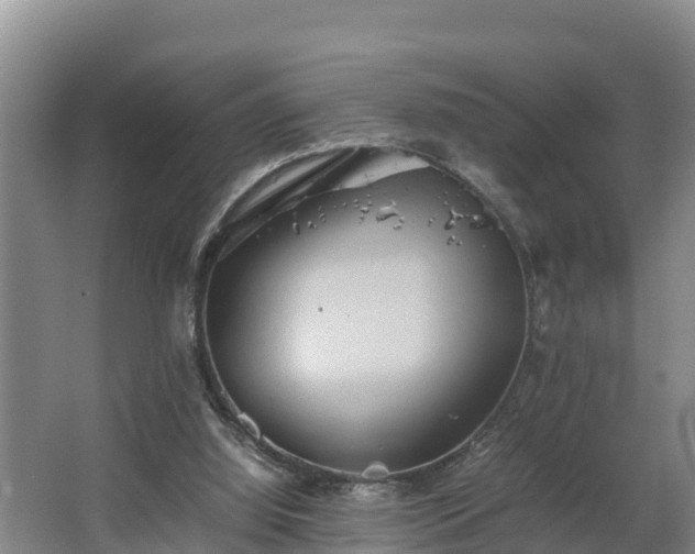 X0000064040060200602031608