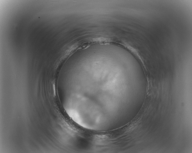 X0000064040061200602031608