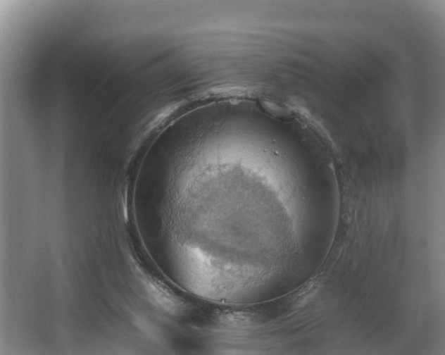 X0000064040062200602031608