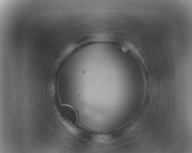 X0000064040063200602031608