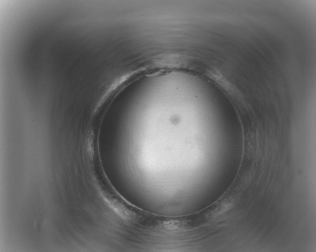 X0000064040064200602031608