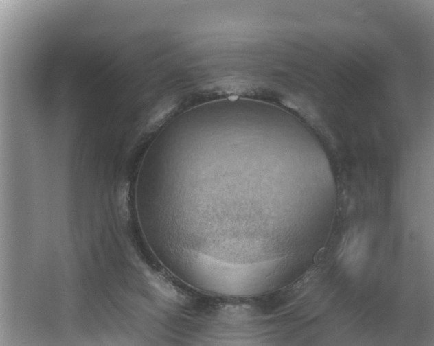 X0000064040066200602031608