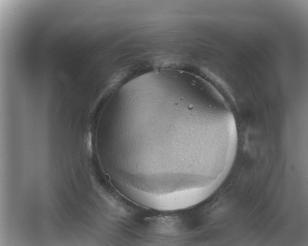 X0000064040067200602031608