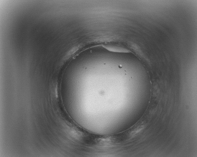 X0000064040068200602031608