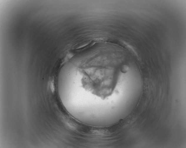 X0000064040069200602031608