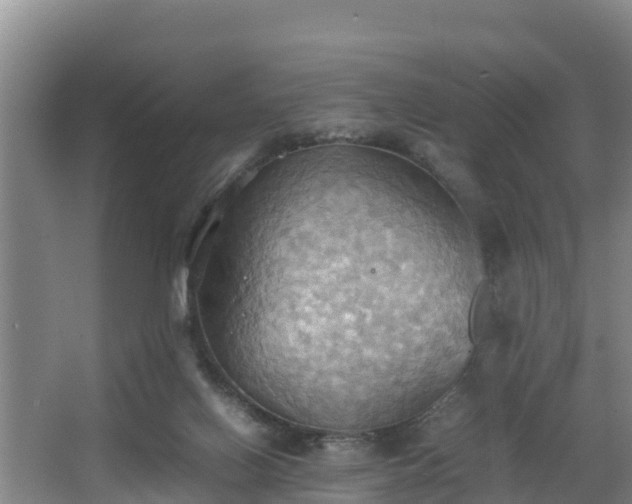 X0000064040070200602031608