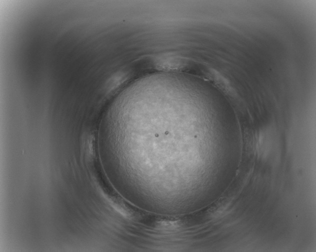 X0000064040071200602031608