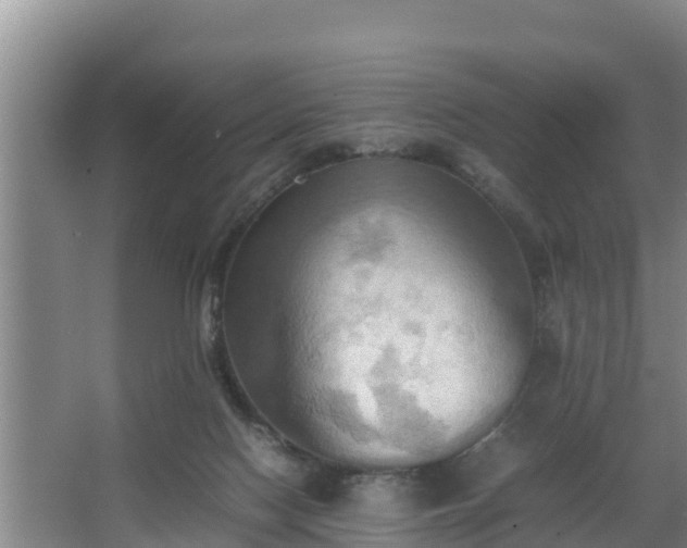 X0000064040074200602031608