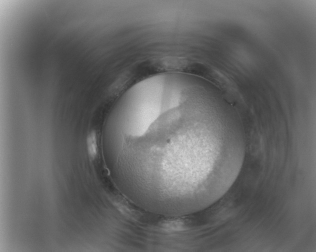 X0000064040075200602031608