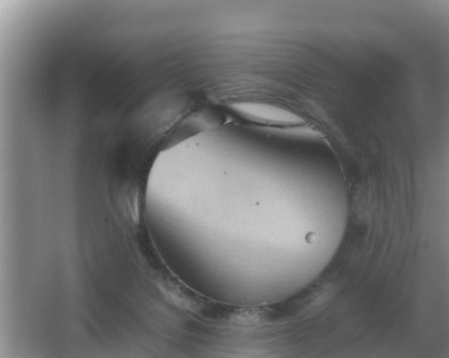 X0000064040076200602031608