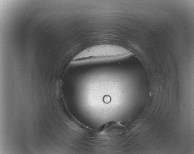 X0000064040077200602031608