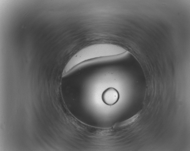 X0000064040078200602031608