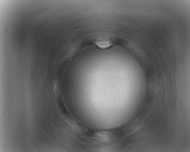 X0000064040079200602031608