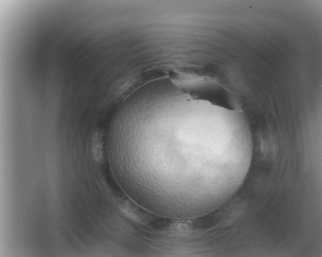 X0000064040080200602031608