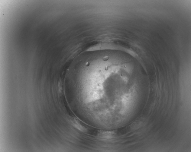 X0000064040081200602031608