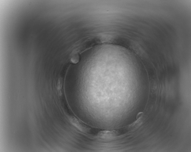 X0000064040082200602031608