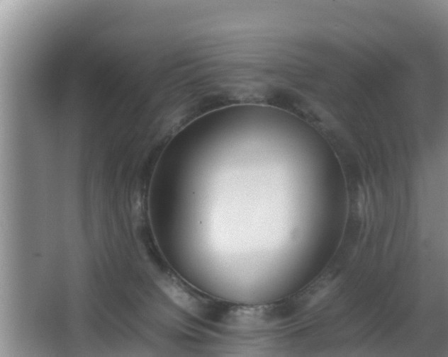 X0000064040084200602031608