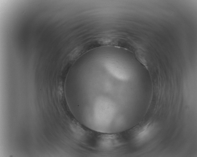 X0000064040085200602031608