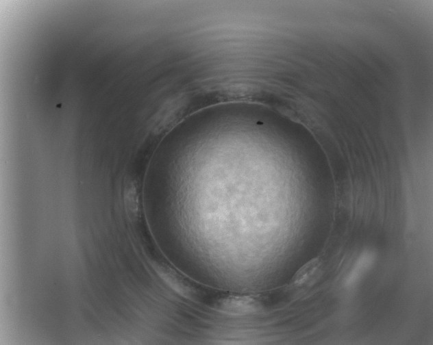 X0000064040086200602031608