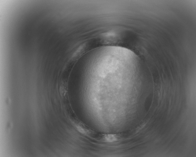 X0000064040091200602031609