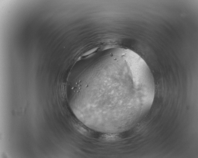 X0000064040093200602031609