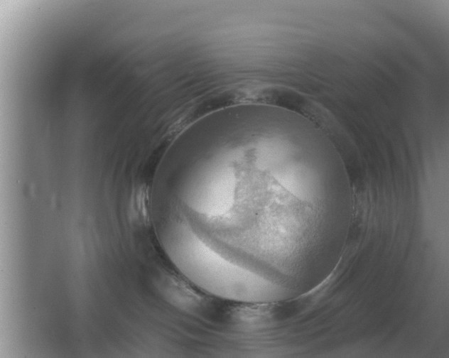 X0000064040094200602031609