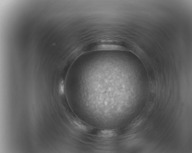 X0000064040095200602031609