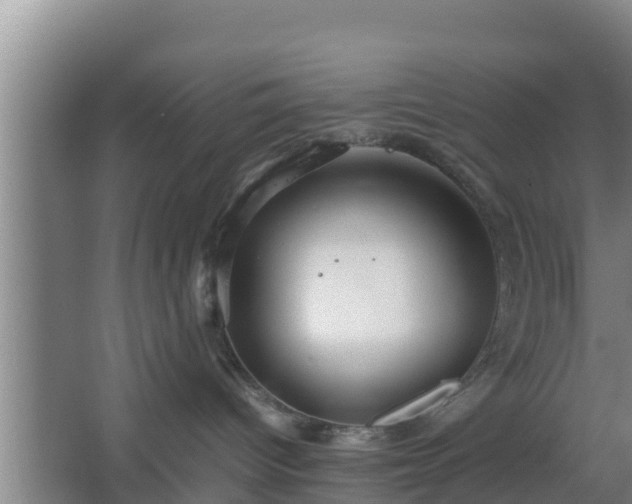 X0000064040096200602031609