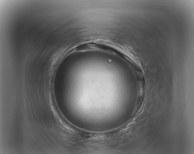 X0000064040097200602031608