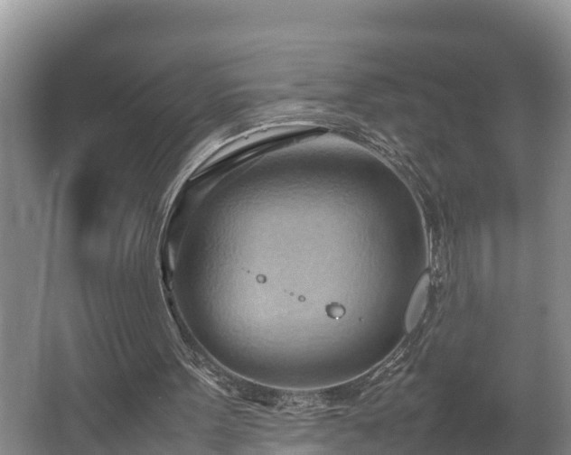 X0000064040099200602031608