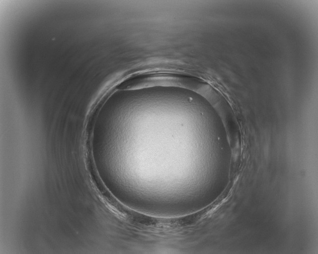 X0000064040101200602031608