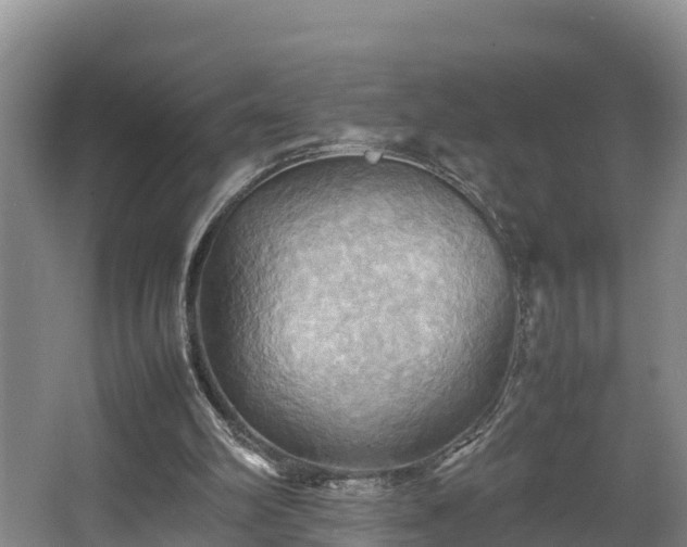 X0000064040102200602031608