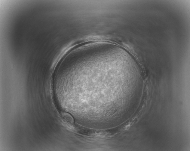 X0000064040103200602031608