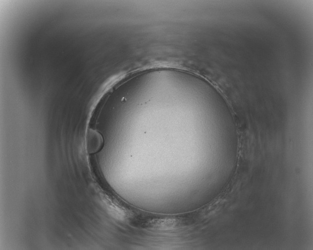 X0000064040104200602031608