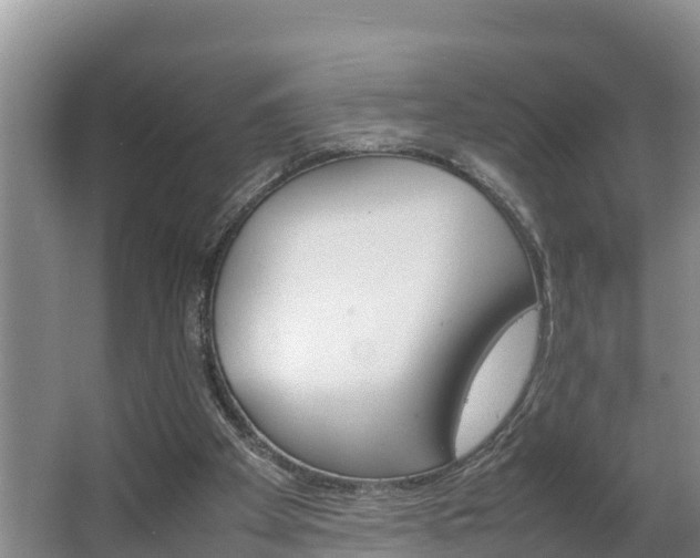 X0000064040105200602031608